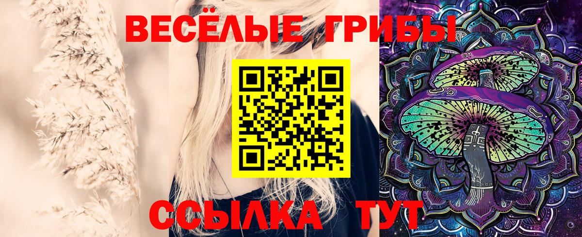 Галлюциногенные грибы мицелий  Вход с VPN  Кубинка 